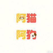 AD📸（手机摄影版）
