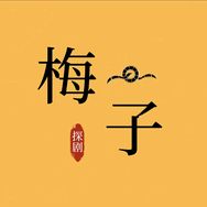 抖音涨粉榜影视综艺排行榜第19名梅子探剧
