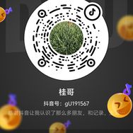 桂哥