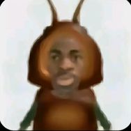 不喜欢吃折耳根