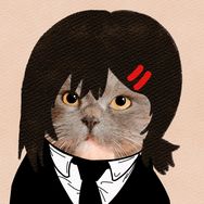 腼腆猫meme