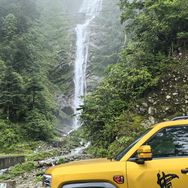 肥宝的唐豹（粤野豹俱乐部