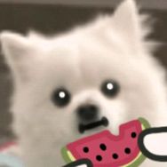 梦求真（暗区突围)