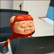 冤种小徐