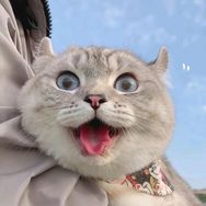 小三娃日常
