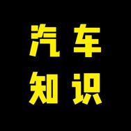 小杨教开车