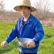 农民的情怀（李春义），