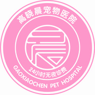 高晓晨宠物医院