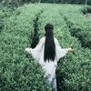 永川区东丹茶行的小店