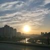 天涯海角505