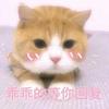 晚安吧玛卡巴卡
