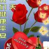 心静如水