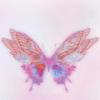 蝴蝶🦋.