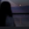 遗世独立៛