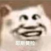 耗子