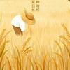 帅帅美食