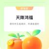 畅享短剧