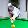 脸哥台球🎱