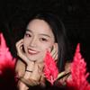草莓奶盖🍓