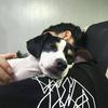 ZYX