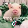 谢于枫