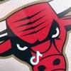 BULLS