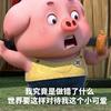 小李有点拽😎😎