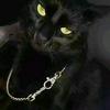 小猫骑老太过马路