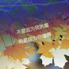 永恒经典(求关)