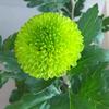 刘超刚