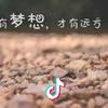 琴琴🎙️（新）