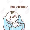 …………
