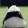 李仨李