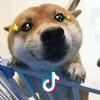 听心跳的声音