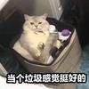 Gin丷