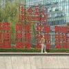 中国龙