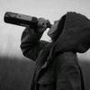 林深不见李