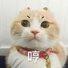 狮子座小宝贝💕💕💕