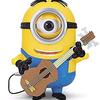 Flamenco Sir