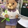 兔兔🐰