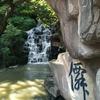 心若向阳，无谓悲伤！！