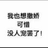 笨笨baby