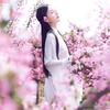 牡丹花语