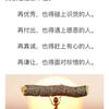 星郎外搏
