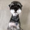 宠舍宠物生活会馆