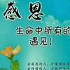 感恩生命中所有的遇见
