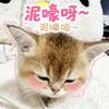 小包小包
