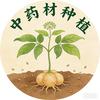 中药材-小助手
