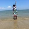 彼岸花海