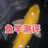 科技钓鱼